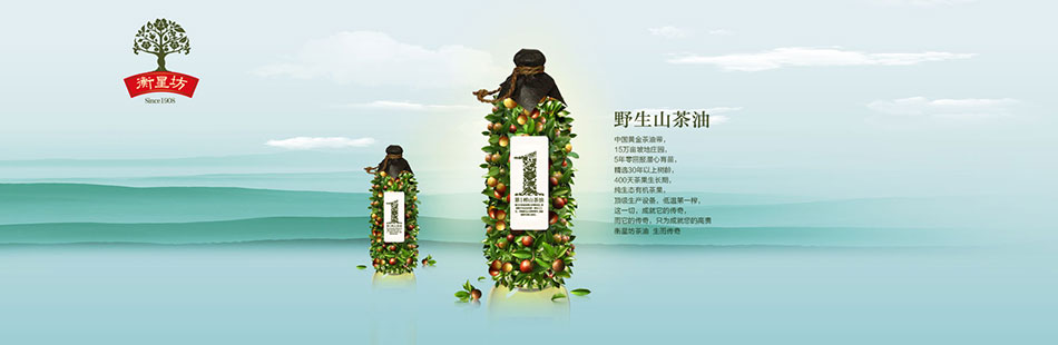 衡星坊生态食品山茶油包装设计